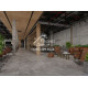 LVT ламинат Alpine Floor Stone Premium LVT Барбо ECO 26-6, 940x470x2.5