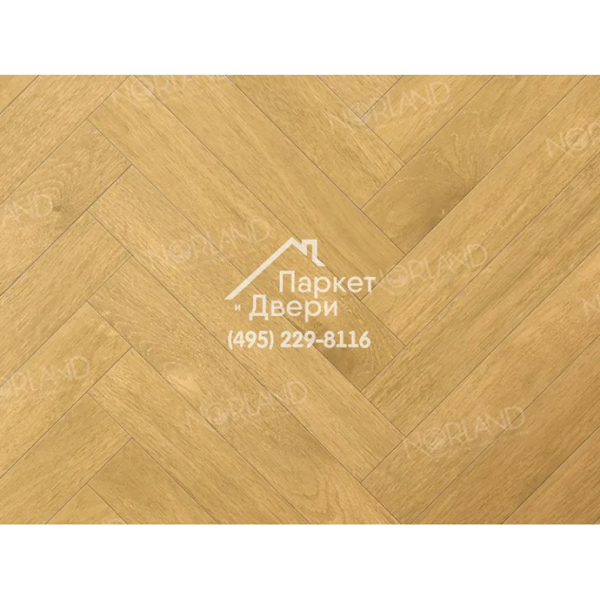 Ламинат Norland Herringbone Elegant Strong Дуб Мальта, LF304-12, 600-100-12-2
