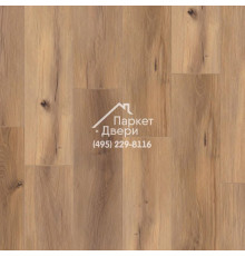 Виниловая плитка Tarkett Art vinyl Future House TOBY 1220x200,8x4,1
