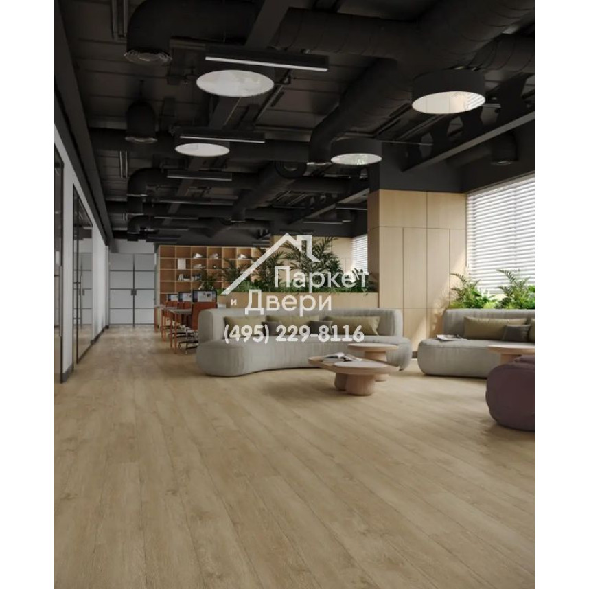 Виниловые полы Alpine Floor ламинат GRAND Sequoia 5 mm КАМФОРА ECO 11-508 MC 1220x183x5-3