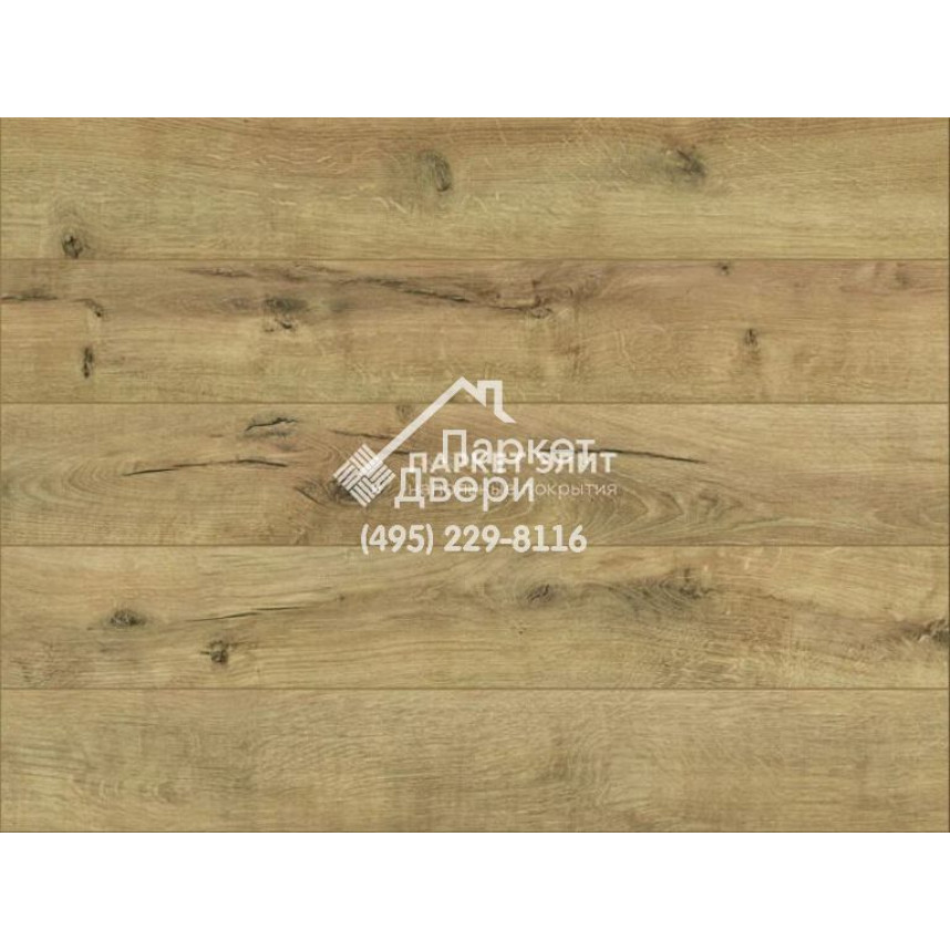 Ламинат Classen Тренд | Trend 4V WR Дуб Восток 1285х192x8-2