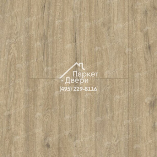 Виниловые полы Alpine Floor SOLO Анданте ЕСО 14-10 1220х183х3,5