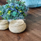 Виниловые полы Alpine Floor REAL WOOD Дуб Мокка Синхронное тиснение ECO 2-2 1220х183х6
