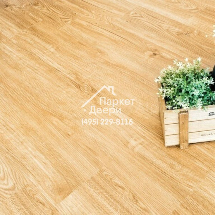 Виниловые полы Alpine Floor SEQUOIA Секвойя Royal ЕСО 6-4 SPC 1220х183х4