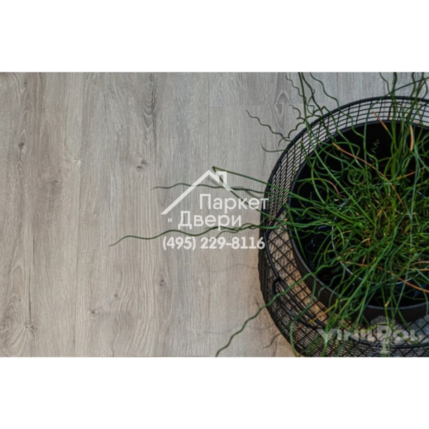 Виниловый пол Vinilam VinilPol Glue 7897 EIR Дуб Неаполь Glue 1219,6x228,6x2,0 мм-5