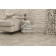 Виниловый пол Vinilam CERAMO VINILAM Glue Бетонная Смесь 61603 Glue 950x480x2.5 мм