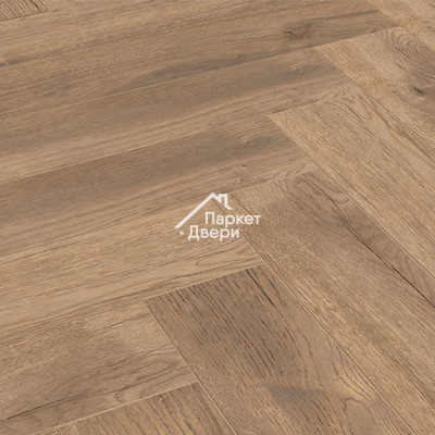 Ламинат HERRINGBONE Treviso Oak D4764B