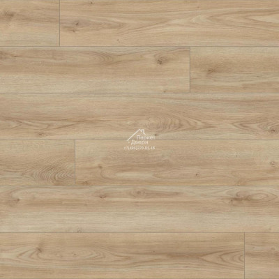 Ламинат Kaindl Natural Touch Premium Plank 10мм  K2241 Дуб кордоба крем  1383х159х10 