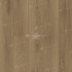 Виниловый пол Alpine Floor клеевая Grand Sequoia LVT Вайпуа ECO 11-1902 1219,2×184,15×2,5