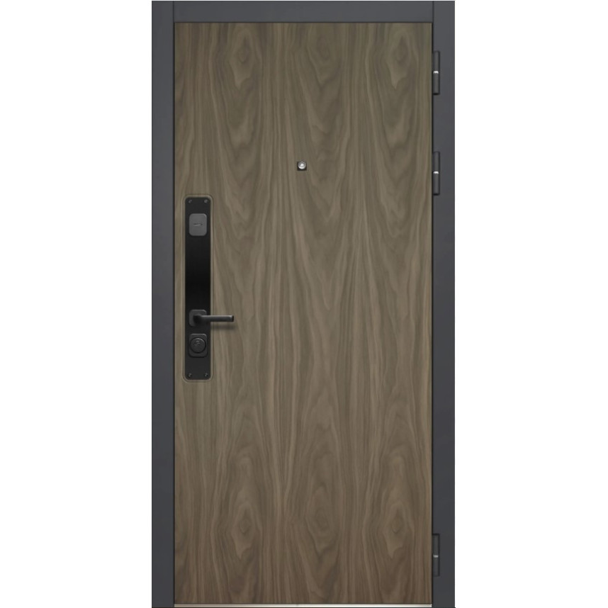 Дверь входная MXD MXK-6