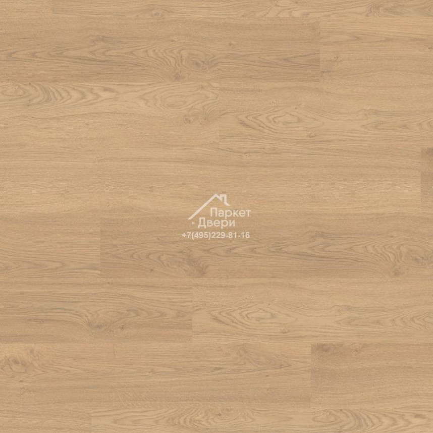 Ламинат EGGER PRO VIVA 2021 Дуб Реколета 1292х193x10