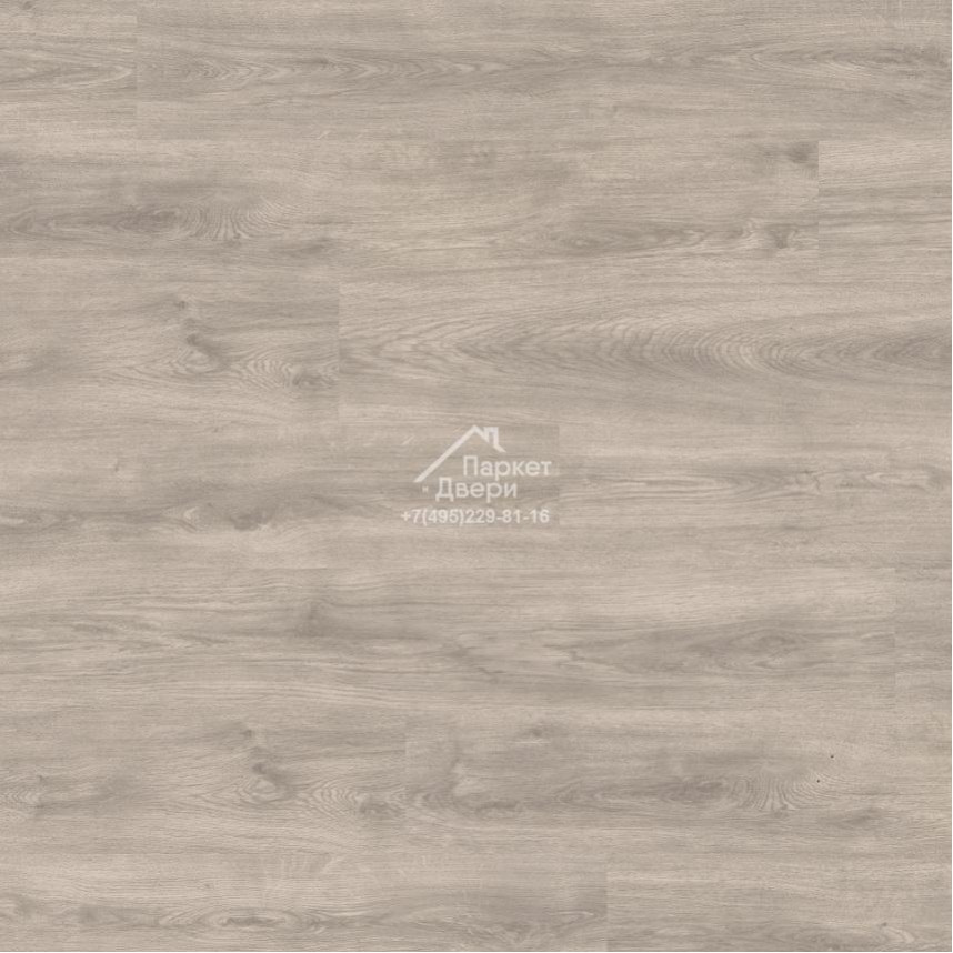 Ламинат EGGER PRO VIVA 2021 Дуб Тривенто серый 1292х193x10