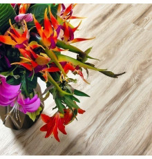 Виниловый пол Alpine Floor Real Wood Клен Канадский Синхронное тиснение ЕСО 2-8 1220х183х6 