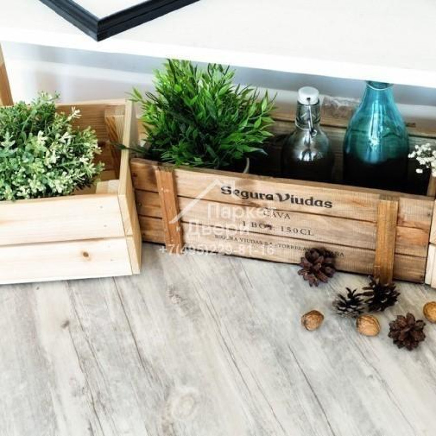 Виниловый пол Alpine Floor Easy Line Акация ЕСО 3-6 1219х184х3 