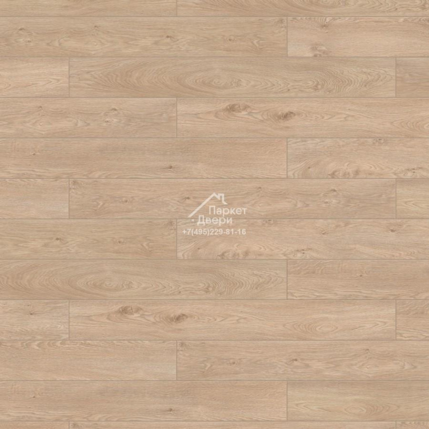 Ламинат Timber Ranger Дуб Туманный 1292х159x12mm-1