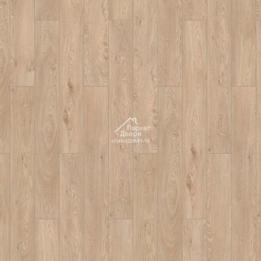 Ламинат Timber Ranger Дуб Туманный 1292х159x12mm