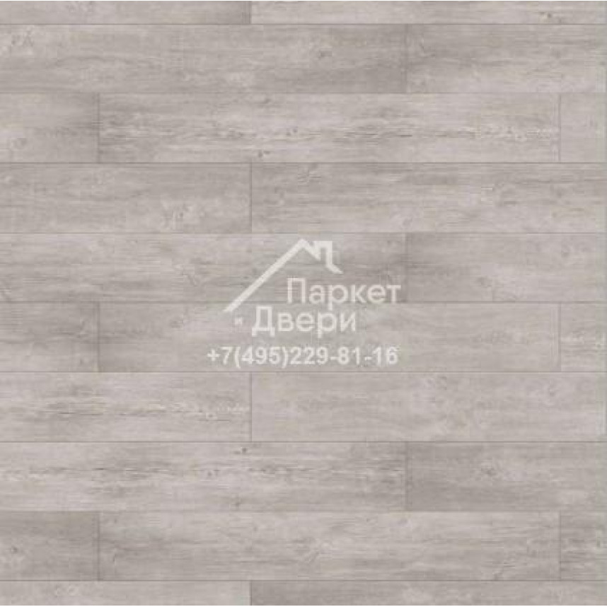 Ламинат Timber Ranger Дуб Пандо светло-серый 1292х159x12mm-1