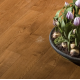 Паркетная доска Coswick Таинственный лес / Dark Wood collection Дуб Орех рустикальный 1135-7204-20 600…2100x240x19.05