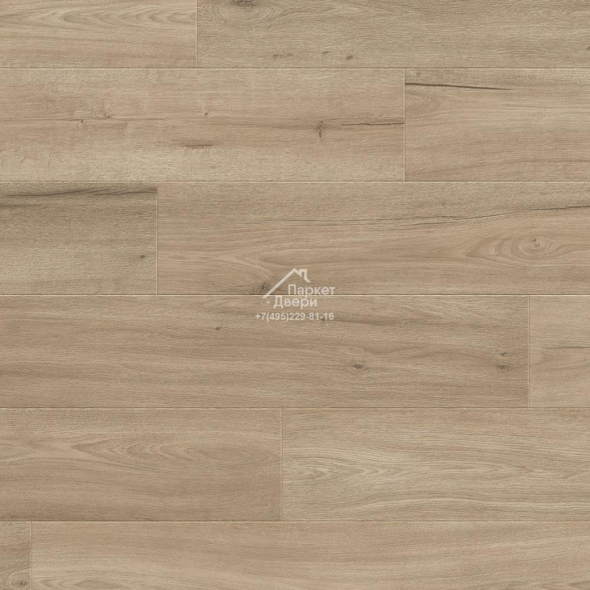Ламинат Balterio Everest EVR61103 Дуб горный-1