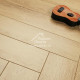 Ламинат Icon Floor Orange Дуб Классический / Oak Сlassic ear OR-105 600х100х8мм