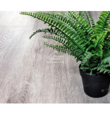 Виниловый пол Alpine Floor Classic Light Ясень Серый ECO 134-55 MC 1220×183×3,5