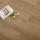 Виниловый пол SPC Icon Floor Mint Дуб Дюкас / Oak Dukasse MT-54 1220х184х6мм