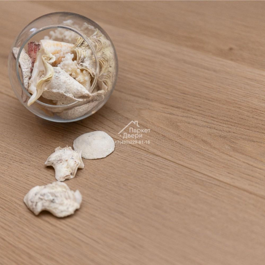 Ламинат Winlerk Comfort Walnut Draz C907 1218x168x12мм-1