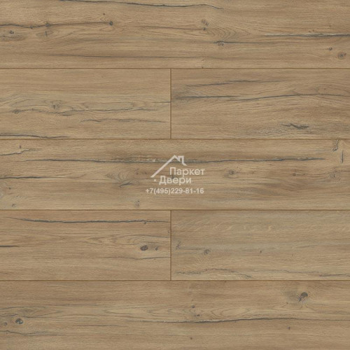 Ламинат Kronopol Aurum Volo Aqua Zero D40254 Condor Oak (Дуб Кондор) 1380х191х8мм