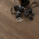 Инженерная доска Coswick Ясень Канадский кедр (1267-3562) Шелковое масло ультраматовое 2 м2