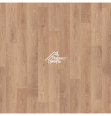 Ламинат Kronotex (Кронотекс) Dynamic Plus Дуб Роскошный Серебряный D4155