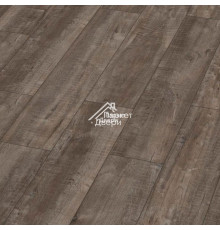 Ламинат Kronotex (Кронотекс) Exquisit Plus Дуб Гала Титан D4785