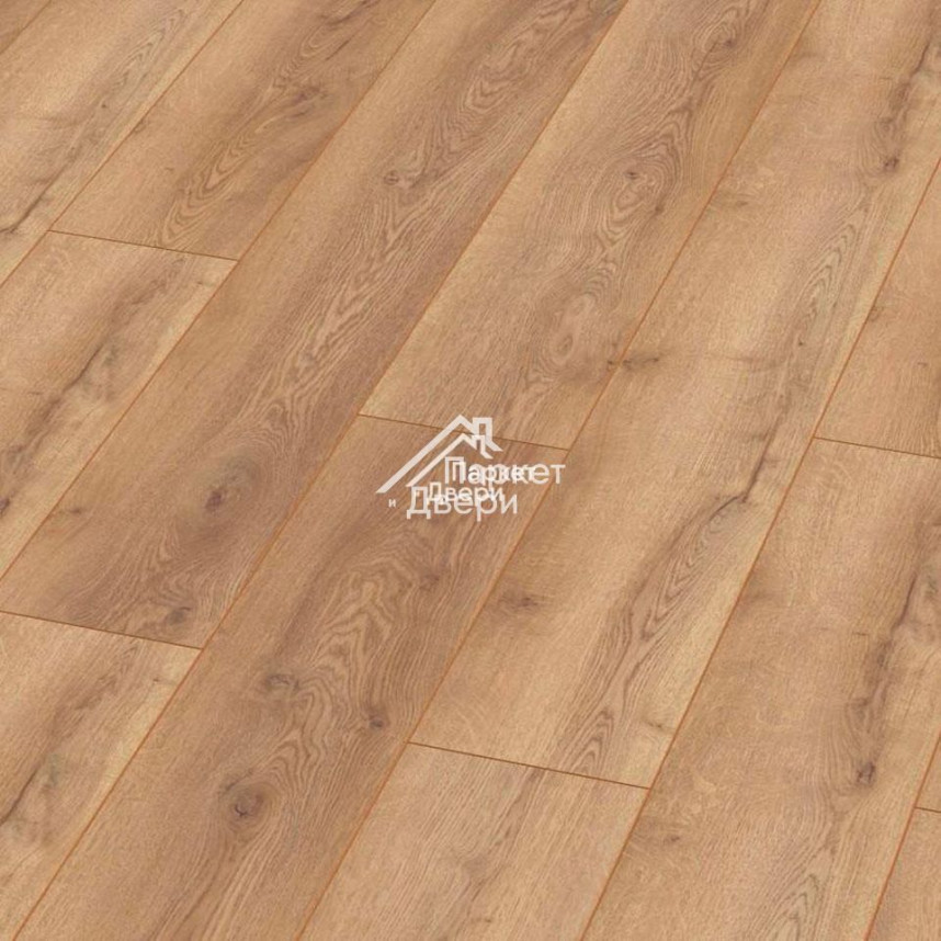 Ламинат Kronotex (Кронотекс) Mammut Дуб горный природный D4725