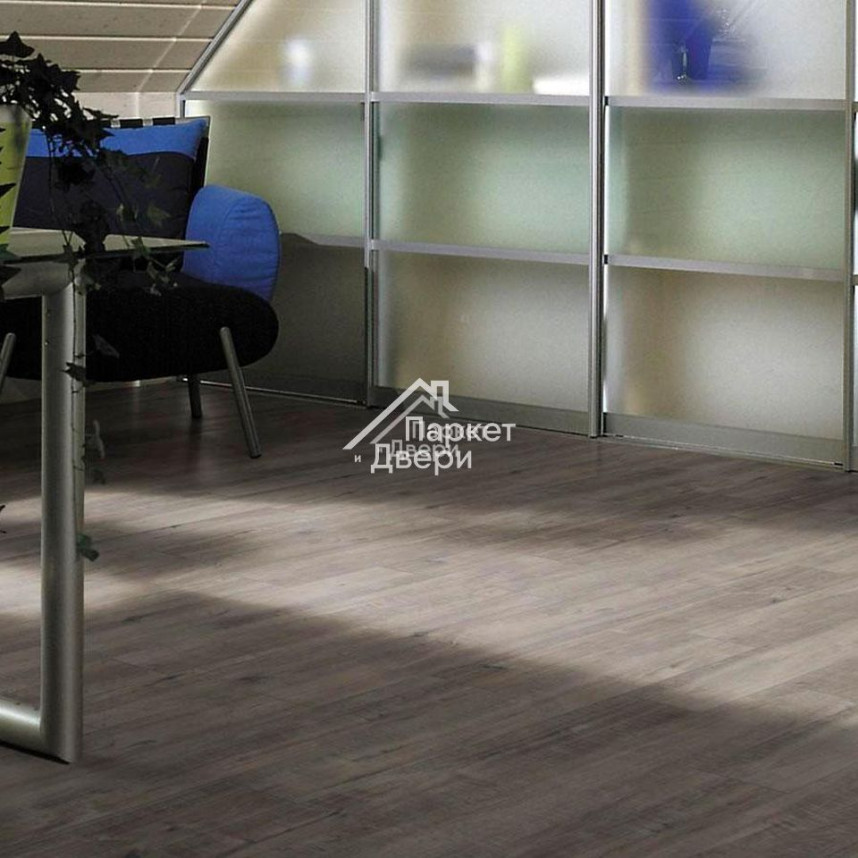 Ламинат Kronotex (Кронотекс) Exquisit Дуб Гала Серый D4786-1