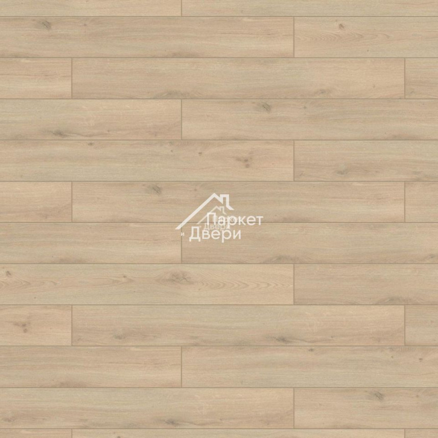 Ламинат Tarkett CRUISE Oceania-1