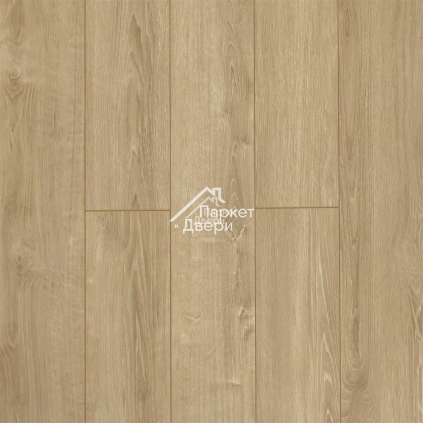 Ламинат Alsafloor Solid Plus Дуб Канарский -1