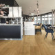 Ламинат Pergo Stavanger pro Дуб Борджио L1245-05000, 1380x279x8