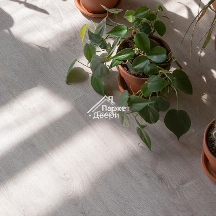 Виниловый пол VINILAM Glue Дуб Ален 20468 -EIR -1