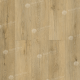 ламинат SPC Alpine Floor  Калькутта ЕСО 21-26, Eclipse Super Matt, 1220x183x4