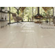 Виниловый пол Alpine Floor Easy Line ДУБ СНЕЖНЫЙ ECO 3-14 1219х184х3 