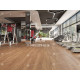 Виниловый пол Alpine Floor Sequoia SPC ламинат Секвойя Темная ЕСО 6-12 SPC