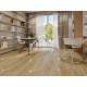 Виниловый пол Alpine Floor Sequoia SPC ламинат Секвойя Венето ЕСО 6-13 SPC
