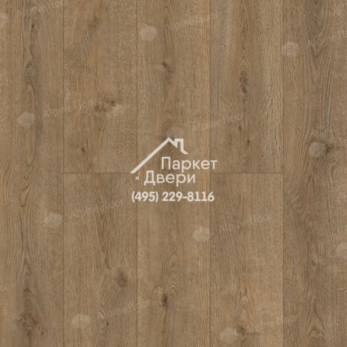Виниловый пол Alpine Floor Solo SPC ламинат Ларгетто ЕСО 14-3