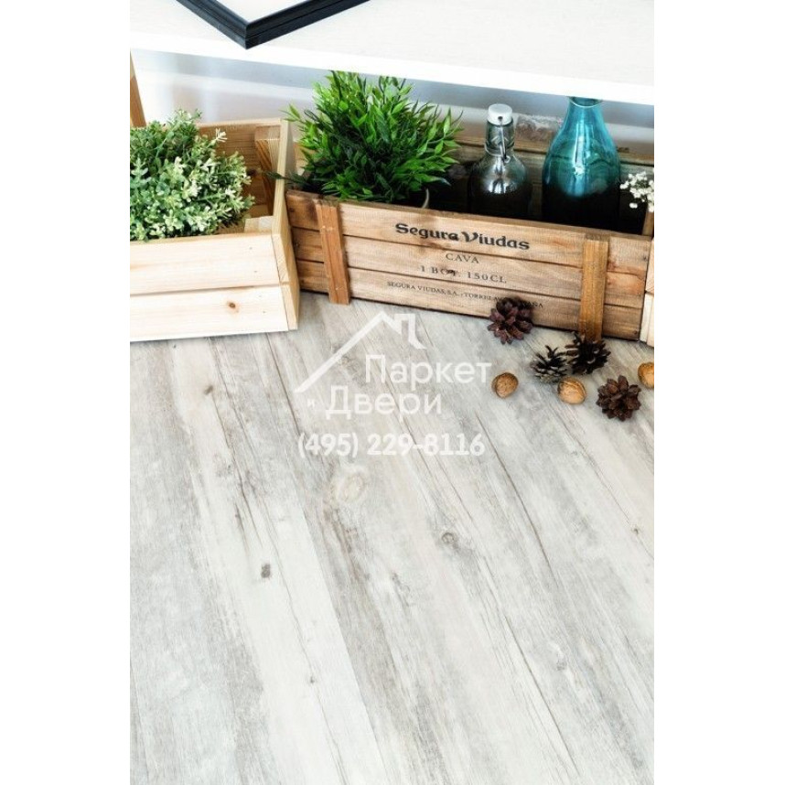 Виниловый пол Alpine Floor CLASSIC SPC ламинат Акация CLICK ЕСО 107-8-3