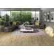 Ламинат Alpine Floor Arteo 8 M WR Дуб Анаргоса 62747  