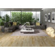 Ламинат Alpine Floor Arteo 8 M WR Дуб Анаргоса 62747  