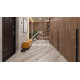 Ламинат Alpine Floor Aqua Life XL Дуб Балатон LF104-02  