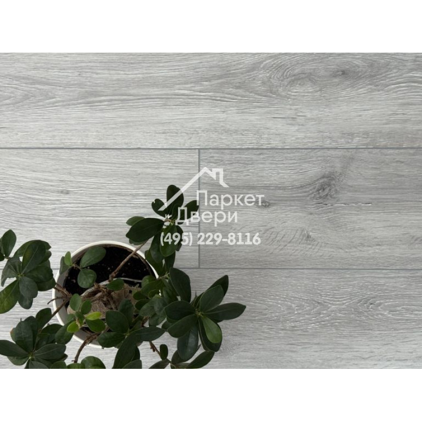 Кварцвинил Icon Floor Aquamarine SPC Дуб Писсаро / Oak Pissaro AQ-19 1220х183х4,5 мм-2